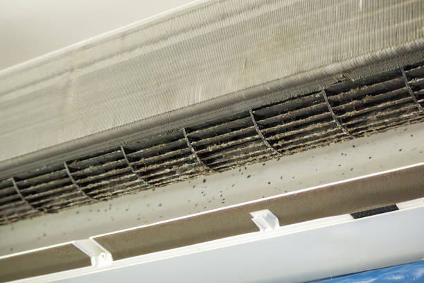 Best Ductwork Cleaning Services  in Greene, RI